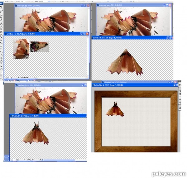 Creation of Butterfly colection: Step 4